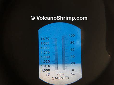 how to use a refractometer for saltwater|salinity refractometer chart.